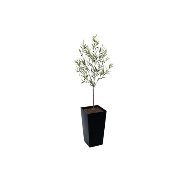 Artificial Bay Laurel Ball Tree | Evergreen Direct