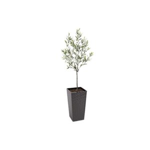 Artificial Bay Laurel Ball Tree | Evergreen Direct