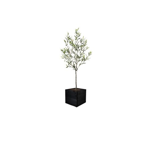 Artificial Bay Laurel Ball Tree | Evergreen Direct