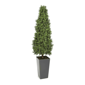 Artificial Topiary Cone at Evergreen Direct