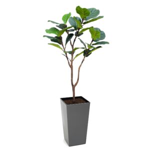 Artificial Fiddle Leaf Fig at Evergreen Direct