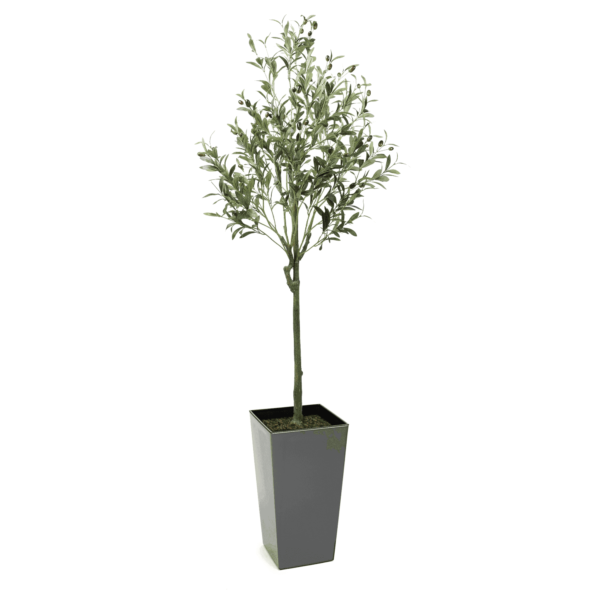 150cm Tuscan Olive Artificial Tree with fruits - Evergreen Direct