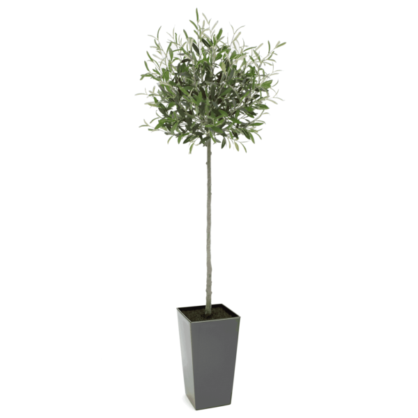 Artificial Tuscan Olive Tree - Evergreen Direct