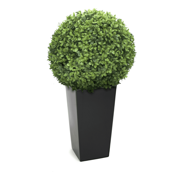 Artificial Buxus Ball From Evergreen Direct