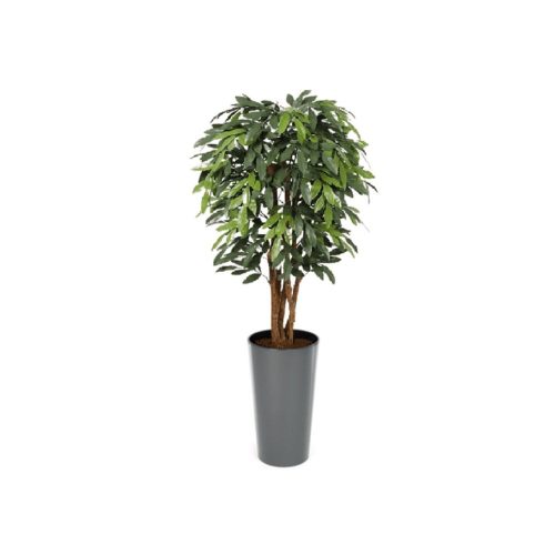 Premium UV MangoTree 150cm - Evergreen Direct