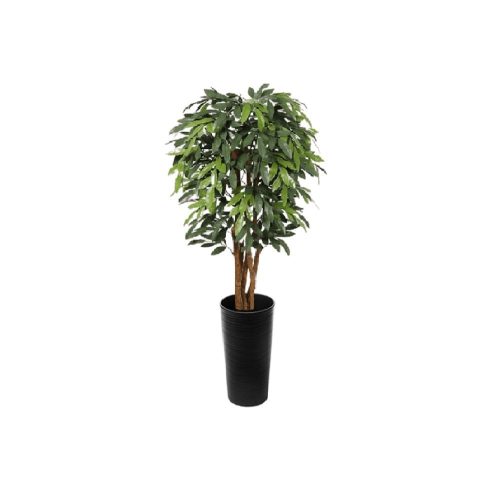 Premium UV MangoTree 150cm - Evergreen Direct