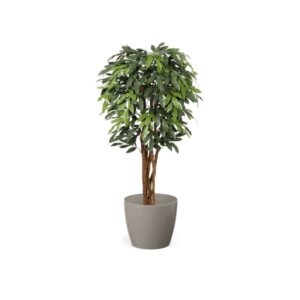 Premium UV MangoTree 150cm - Evergreen Direct