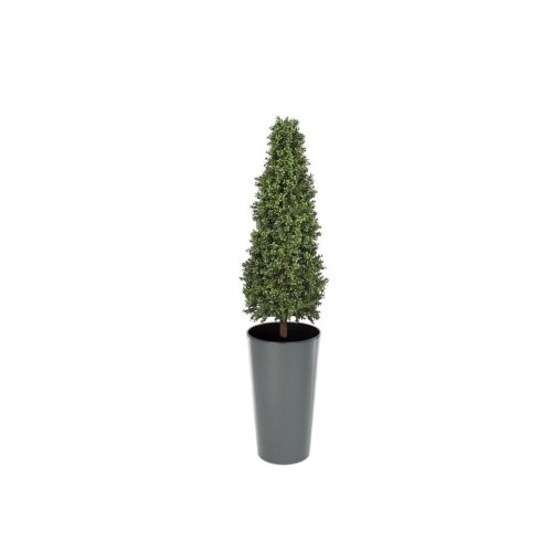 Artificial Topiary Cone at Evergreen Direct