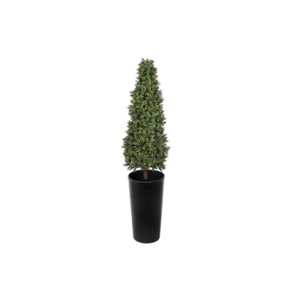 Artificial Topiary Cone at Evergreen Direct