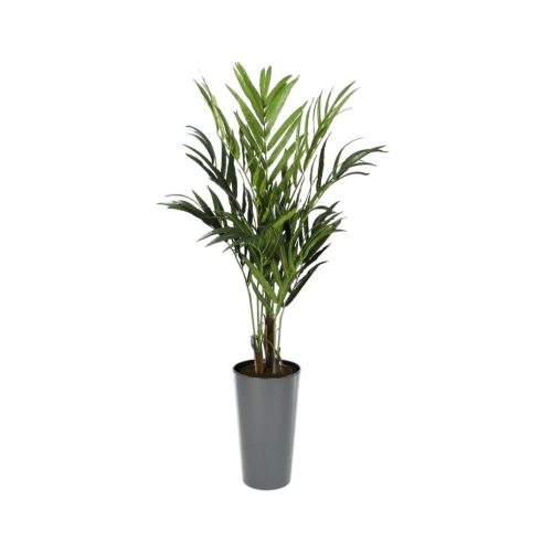 #1 for Artificial Kentia Palm Trees | Evergreen Direct