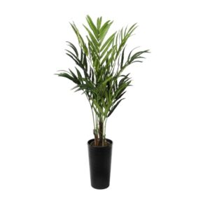 #1 for Artificial Kentia Palm Trees | Evergreen Direct