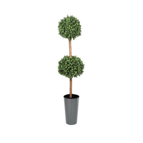 Deluxe Double Boxwood Ball Topiary Tree From Evergreen Direct