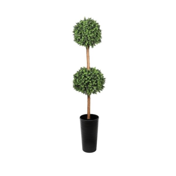 Deluxe Double Boxwood Ball Topiary Tree From Evergreen Direct