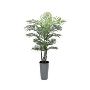 #1 for Artificial Areca Palm Trees | Evergreen Direct