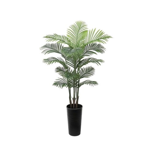 #1 for Artificial Areca Palm Trees | Evergreen Direct