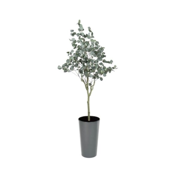 #1 for Artificial Eucalyptus Trees | Evergreen Direct