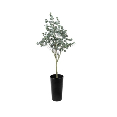 #1 for Artificial Eucalyptus Trees | Evergreen Direct