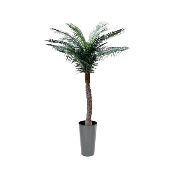 Artificial UV Beach Palm at Evergreen Direct