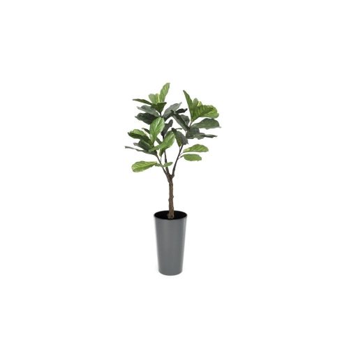 Artificial UV Fiddle Leaf Fig Tree at Evergreen Direct