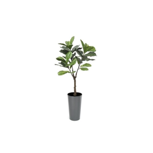 Artificial UV Fiddle Leaf Fig Tree at Evergreen Direct