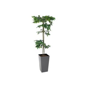 Artificial Tiered Green Ficus Tree - Medium Lilia Black