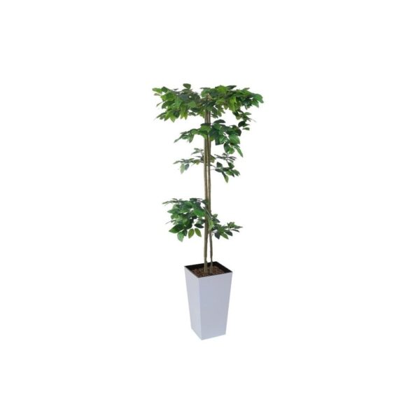 Artificial Hand Made Tiered Ficus Tree | Evergreen Direct