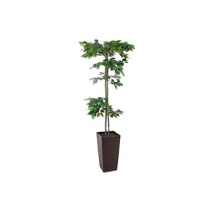 Artificial Hand Made Tiered Ficus Tree | Evergreen Direct