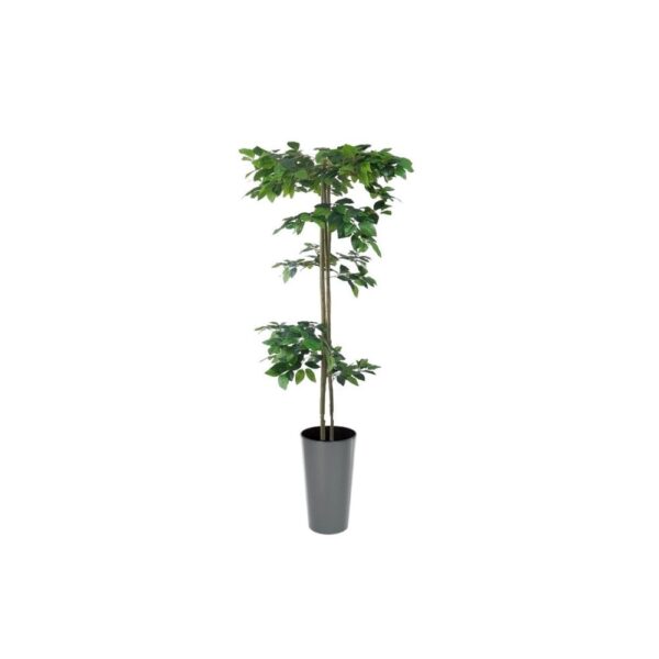 Artificial Hand Made Tiered Ficus Tree | Evergreen Direct