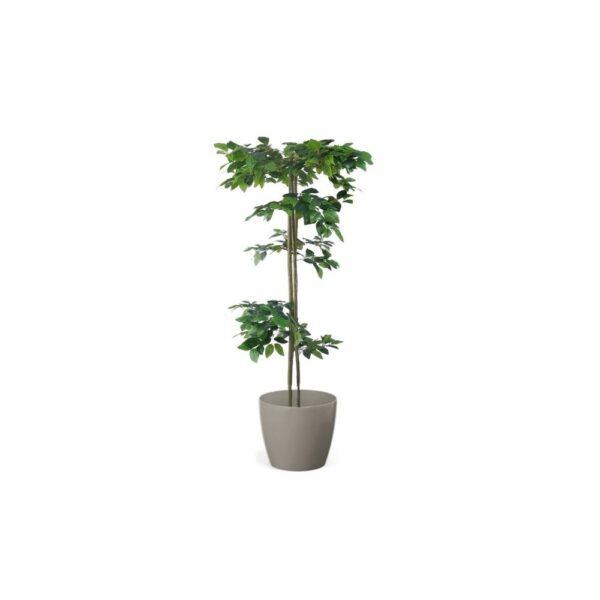 Artificial Hand Made Tiered Ficus Tree | Evergreen Direct