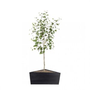 Artificial White Stem Birch Tree | Evergreen Direct