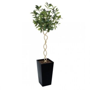 Artificial Twisted Trunk Bay Topiary Tree | Evergreen Direct