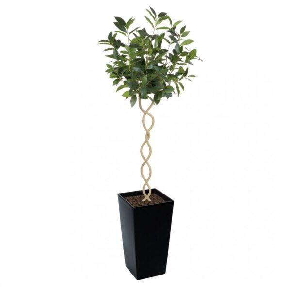 Artificial Twisted Trunk Bay Topiary Tree | Evergreen Direct