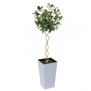 Artificial Twisted Trunk Bay Topiary Tree | Evergreen Direct