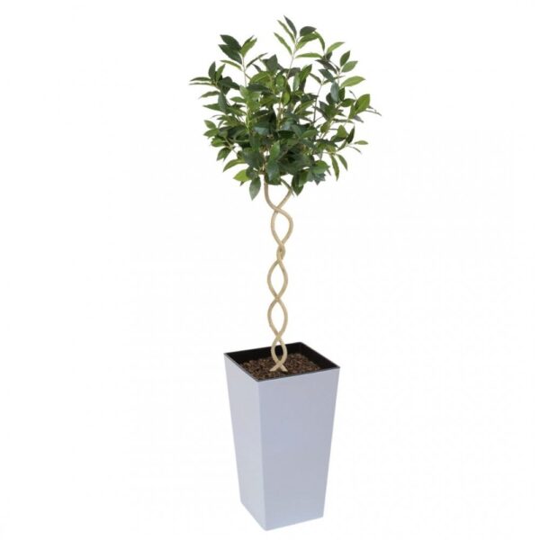 Artificial Twisted Trunk Bay Topiary Tree | Evergreen Direct