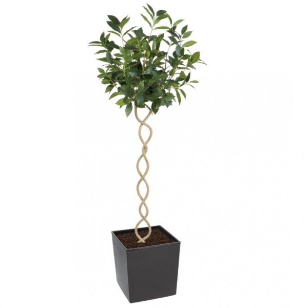 Artificial Twisted Trunk Bay Topiary Tree | Evergreen Direct