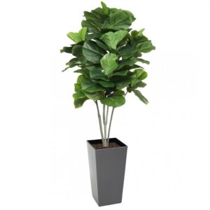 Artificial Large Fiddle Leaf Tree 160cm | Evergreen Direct