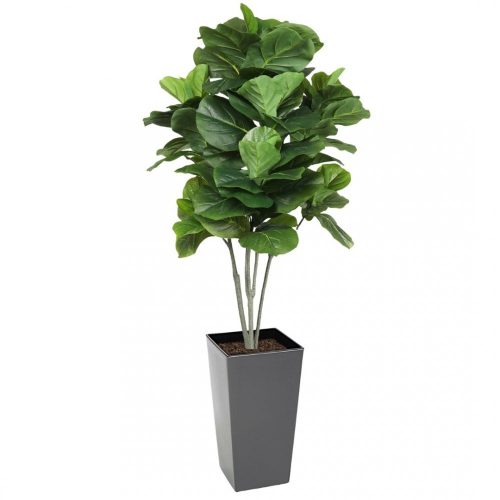 Artificial Large Fiddle Leaf Tree 160cm | Evergreen Direct