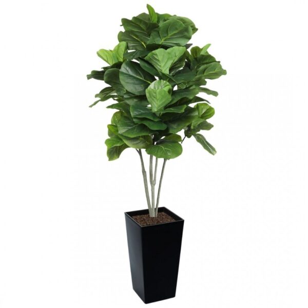 Artificial Large Fiddle Leaf Tree 160cm | Evergreen Direct