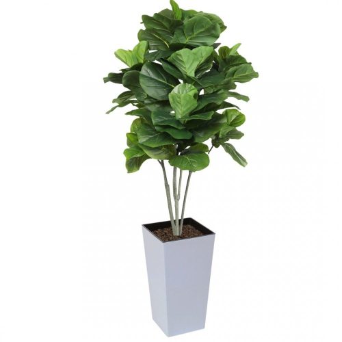 Artificial Large Fiddle Leaf Tree 160cm | Evergreen Direct