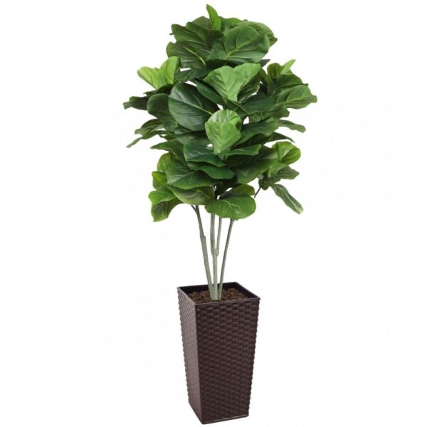 Artificial Large Fiddle Leaf Tree 160cm | Evergreen Direct