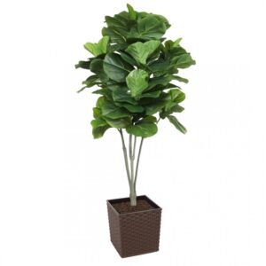 Artificial Large Fiddle Leaf Tree 160cm | Evergreen Direct