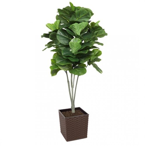 Artificial Large Fiddle Leaf Tree 160cm | Evergreen Direct