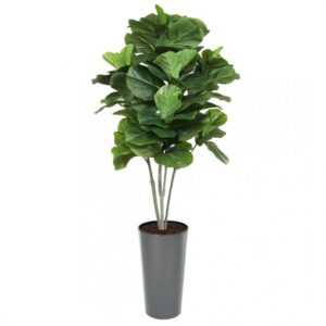 Artificial Large Fiddle Leaf Tree 160cm | Evergreen Direct