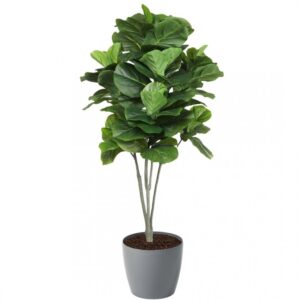 Artificial Large Fiddle Leaf Tree 160cm | Evergreen Direct