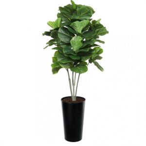 Artificial Large Fiddle Leaf Tree 160cm | Evergreen Direct