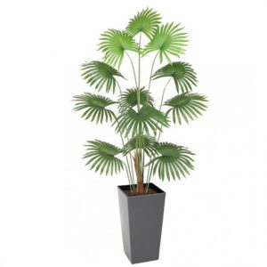 Artificial Fan Palm 180cm | Evergreen Direct