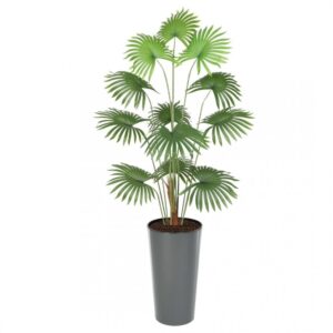 Artificial Fan Palm 180cm | Evergreen Direct