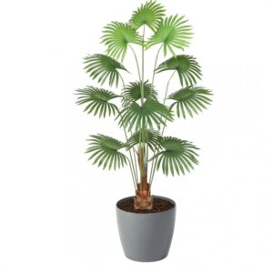 Artificial Fan Palm 180cm | Evergreen Direct