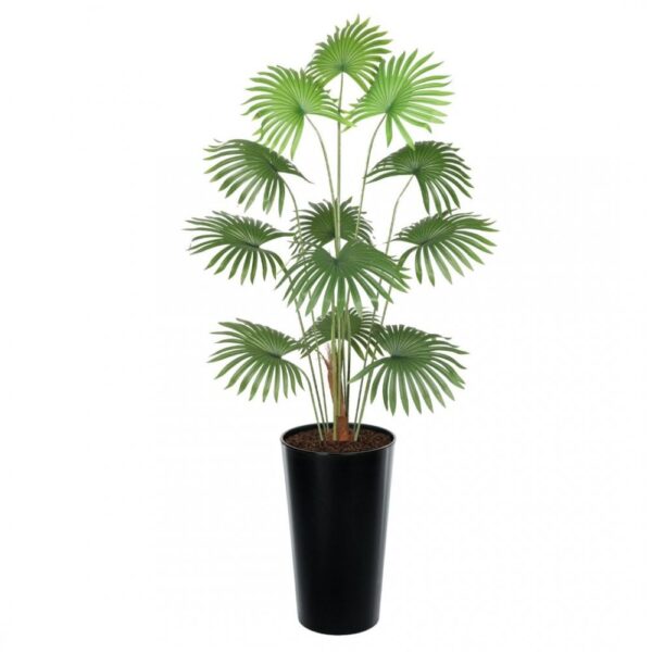 Artificial Fan Palm 180cm | Evergreen Direct