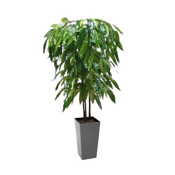 Artificial Artificial Mango Tree | Evergreen Direct